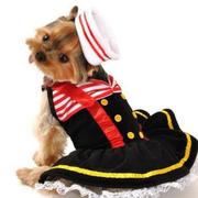 Pet costumes picture of Sailor Dog Halloween Costume.JPG
