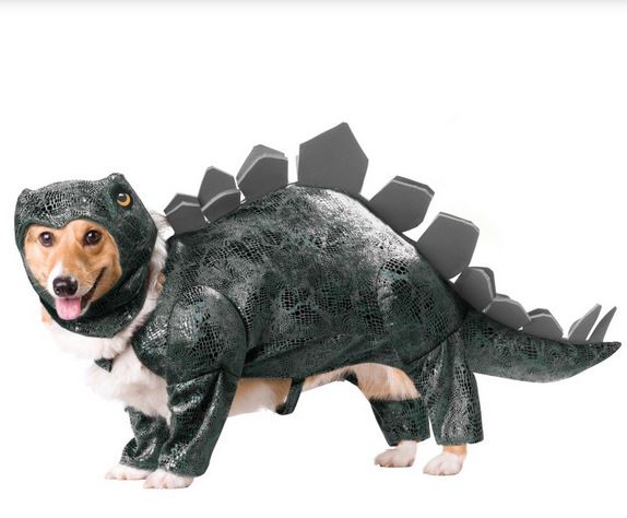 Pet costums picture of Stegosaurus Dog Costume.JPG
