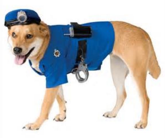 Police Dog Halloween Costume images.JPG
