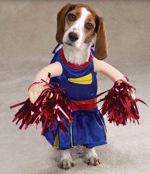 Small doggie costumes for halloween.JPG
