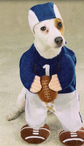 Football Dogs Halloween Costumes perfect for male dog costumes.JPG
