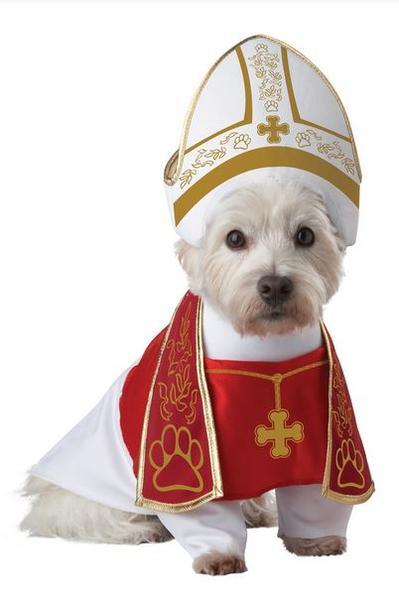 Pet dog pope halloween costume images.JPG
