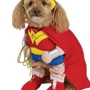 Superwoman pet dog halloween costume photo.JPG
