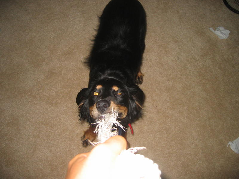 Penny playing with the string very aggressively
