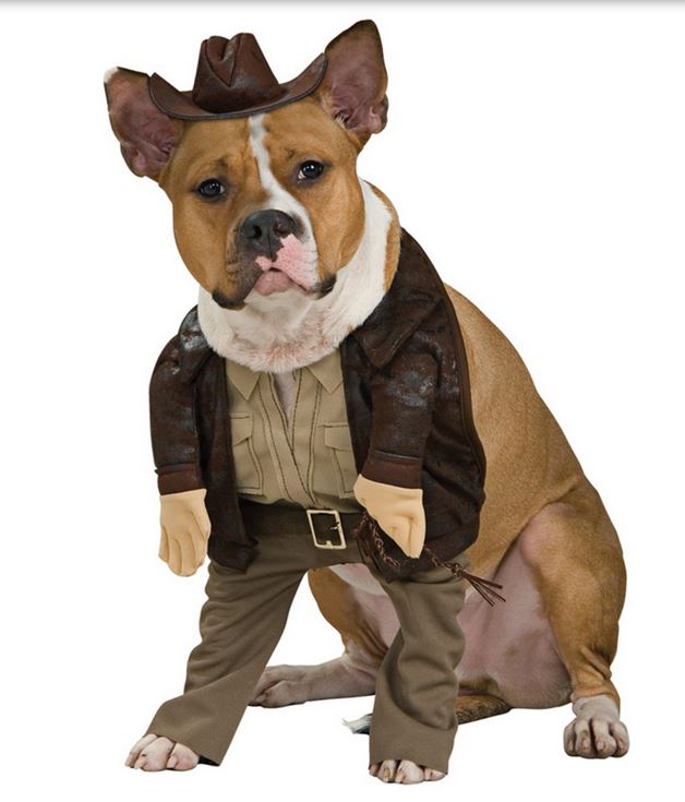 Indiana Jones Halloween Dog Costume online where to buy dog costumes.JPG
