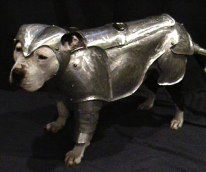 Unique dog costume picture of Dog ArmorSuit.JPG
