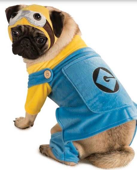 Halloween costumes small dogs picture of Minion Dog Costume.JPG
