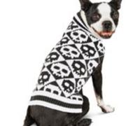 Halloween dog sweaters pictures.JPG
