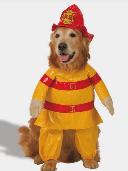 Fireman costume for pet dogs.JPG
