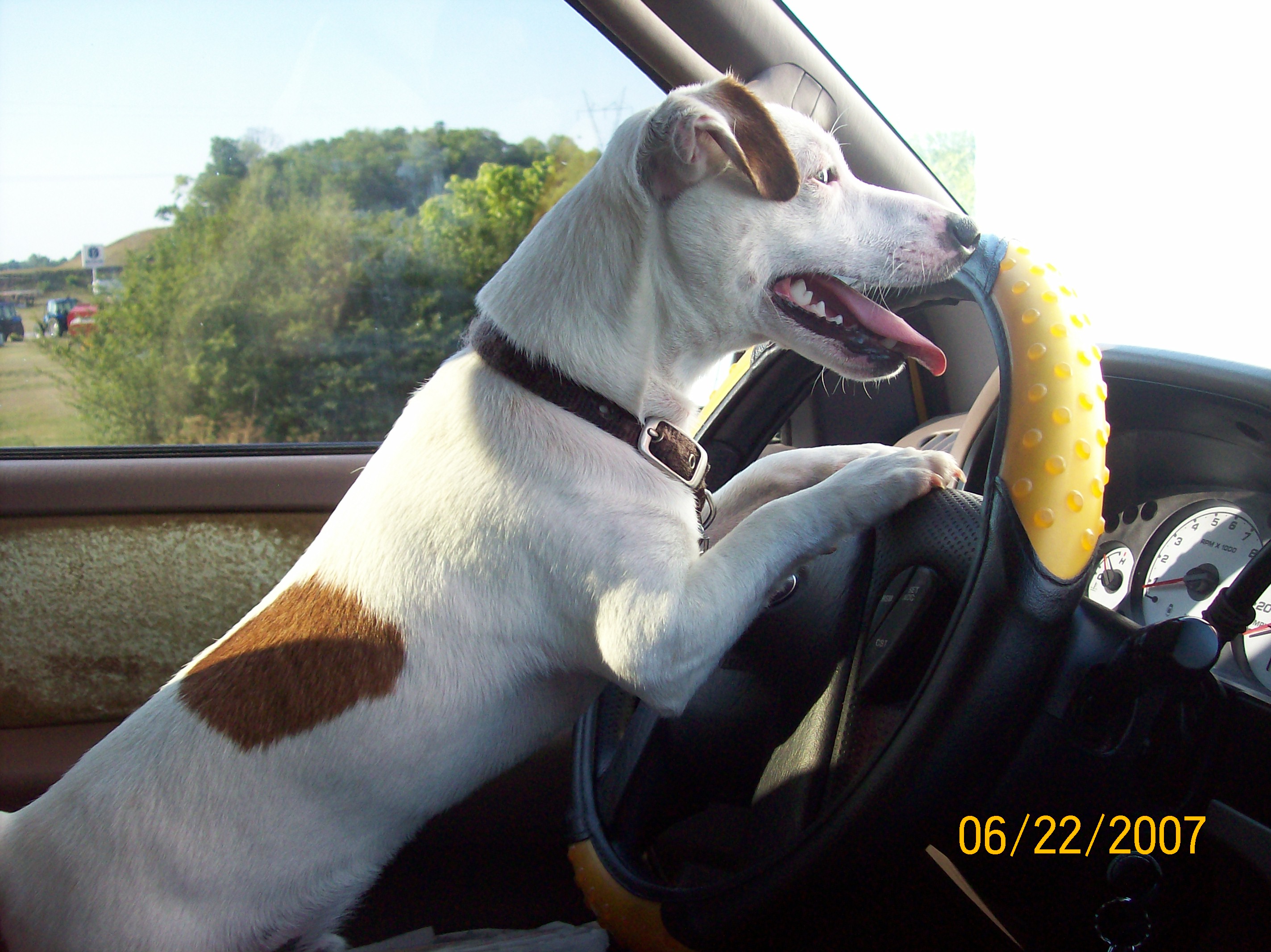 casey driving2
