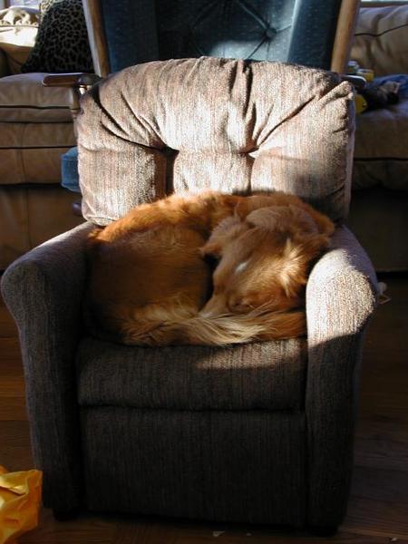 SleepingInChair1++
