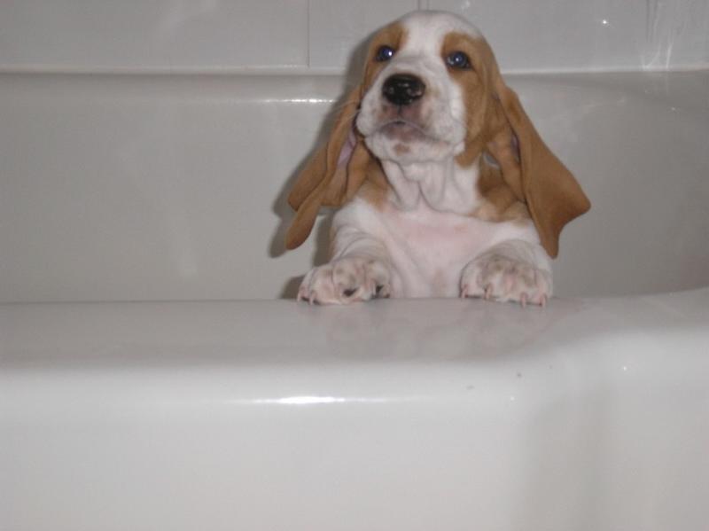 do i really have to take a bath
