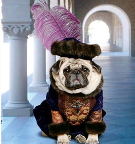 Dog king costume photos.PNG
