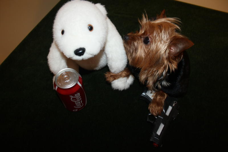 Coca Cola Polar bear and Rubin,,,,,,, just doing my job!!!!
