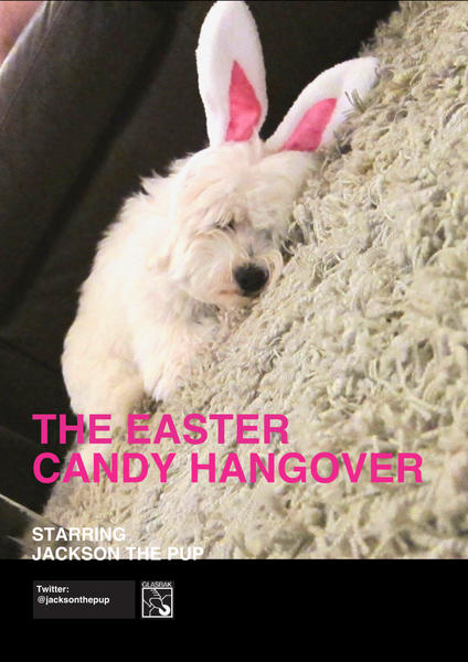 Easter!  Oy!  Our Coton de Tulear, Jackson.
